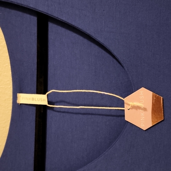 Pinkblush Babydoll Top - Picture 2 of 3